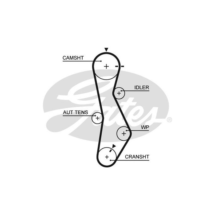 Ремень ГРМ Gates 5579XS