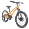 Велосипед Trinx Seals 3.0 20" Orange-Black-Blue (SEALS3.0OBB) изображение 2