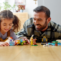 Конструктор LEGO Кубики и функции 500 деталей (11019) изображение 3