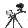 Штатив Vanguard Alta Pro 2+ 263AP (DAS301020) изображение 10