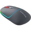 Мышка Canyon MW-22 Dual Band RGB Wireless Dark Grey (CNS-CMSW22DG) изображение 2