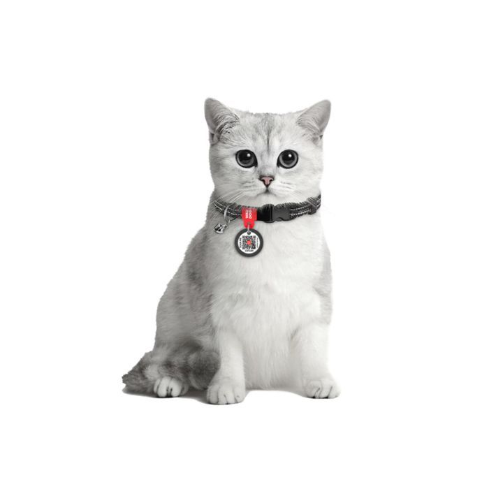 Ошейник для животных WAUDOG Re-cotton с QR паспортом, пластиковый фастекс XS оранжевый (16424) изображение 3