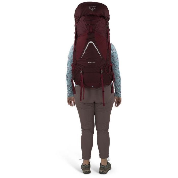 Рюкзак туристический Osprey Aura AG LT 65 koseret/darjeeling spring green WXS/S (009.3288) изображение 7
