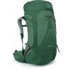 Рюкзак туристический Osprey Aura AG LT 65 koseret/darjeeling spring green WXS/S (009.3288)