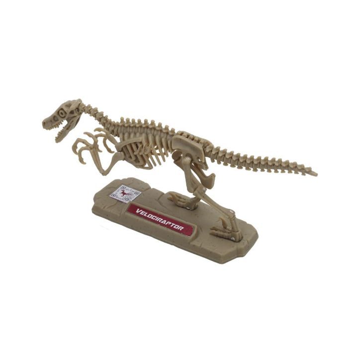 Конструктор Dino Valley "Дино" мини скелет динозавра (542040) изображение 3