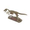 Конструктор Dino Valley "Дино" мини скелет динозавра (542040) изображение 3