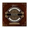 Струны для гитары Framus Bronze Extra Light (10-46) (48210 EL)