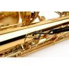 Ремень для духовых инструментов D'Addario Saxophone Fabric Neck Strap Alto/Soprano (Black) (SJA11) изображение 3