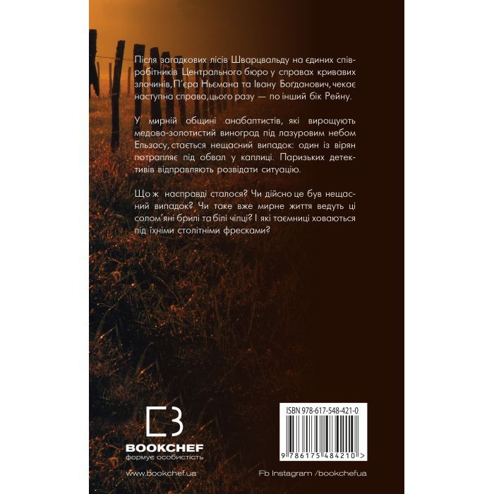 Книга День попелу - Жан-Крістоф Ґранже BookChef (9786175484210) зображення 3