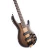 Бас-гитара Cort C4 Plus OVMH (Antique Brown Burst) изображение 3