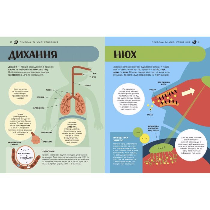 Книга Енциклопедія STEM для дітей: 100 понять майбутнього генія - Дженні Джекобі Ранок (9786170992789) изображение 6