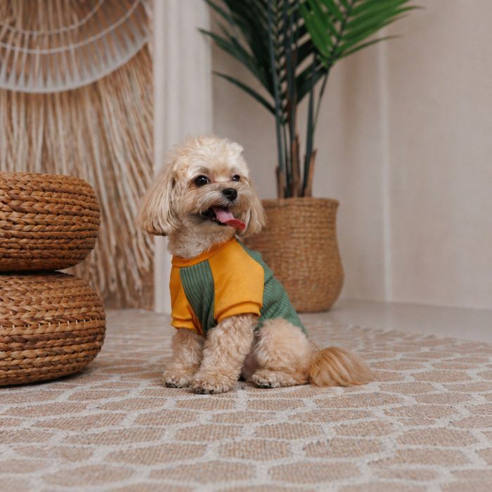 Футболка для тварин Pet Fashion Kent S (4823082446155) зображення 3