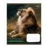 Зошит 1 вересня Into the wild А5 48 аркушів лінія (769131) зображення 2