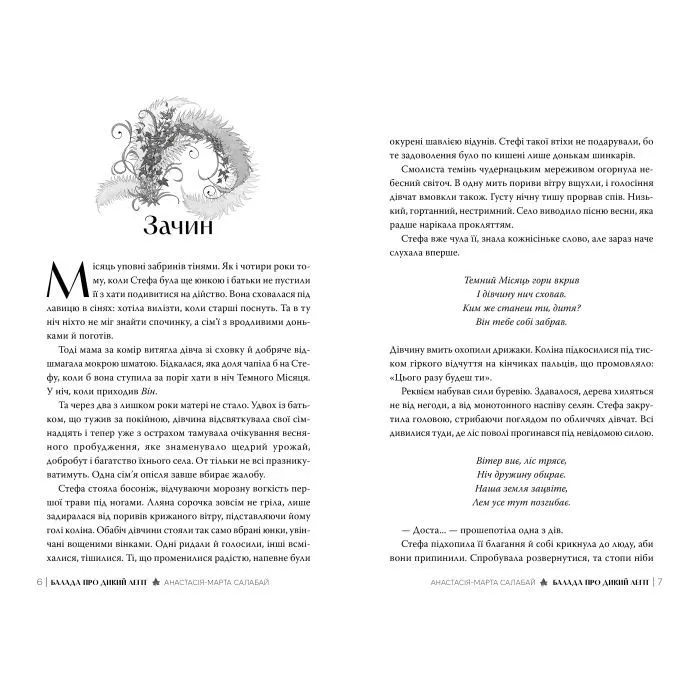 Книга Балада про Дикий Легіт - Анастасія-Марта Салабай Видавництво РМ (9786178691462) зображення 3