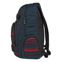 Рюкзак туристический Dakine Atlas 25L Mantle 8130-004 (610934865486) изображение 3