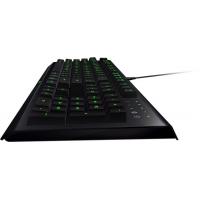 Комплект Razer Cynosa (RZ84-01470200-R3G1/В3R1) изображение 4