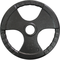 Диск для штанги Newt 10 кг (TI-N-010)