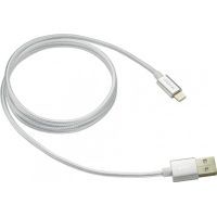 Дата кабель USB 2.0 AM to Lightning 1.0m Dark gray Canyon (CNE-CFI3DG)