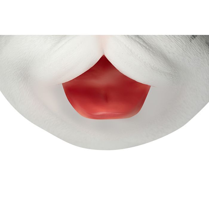 Игровой набор Same Toy рукавичка Кот серый (X336UT) изображение 3