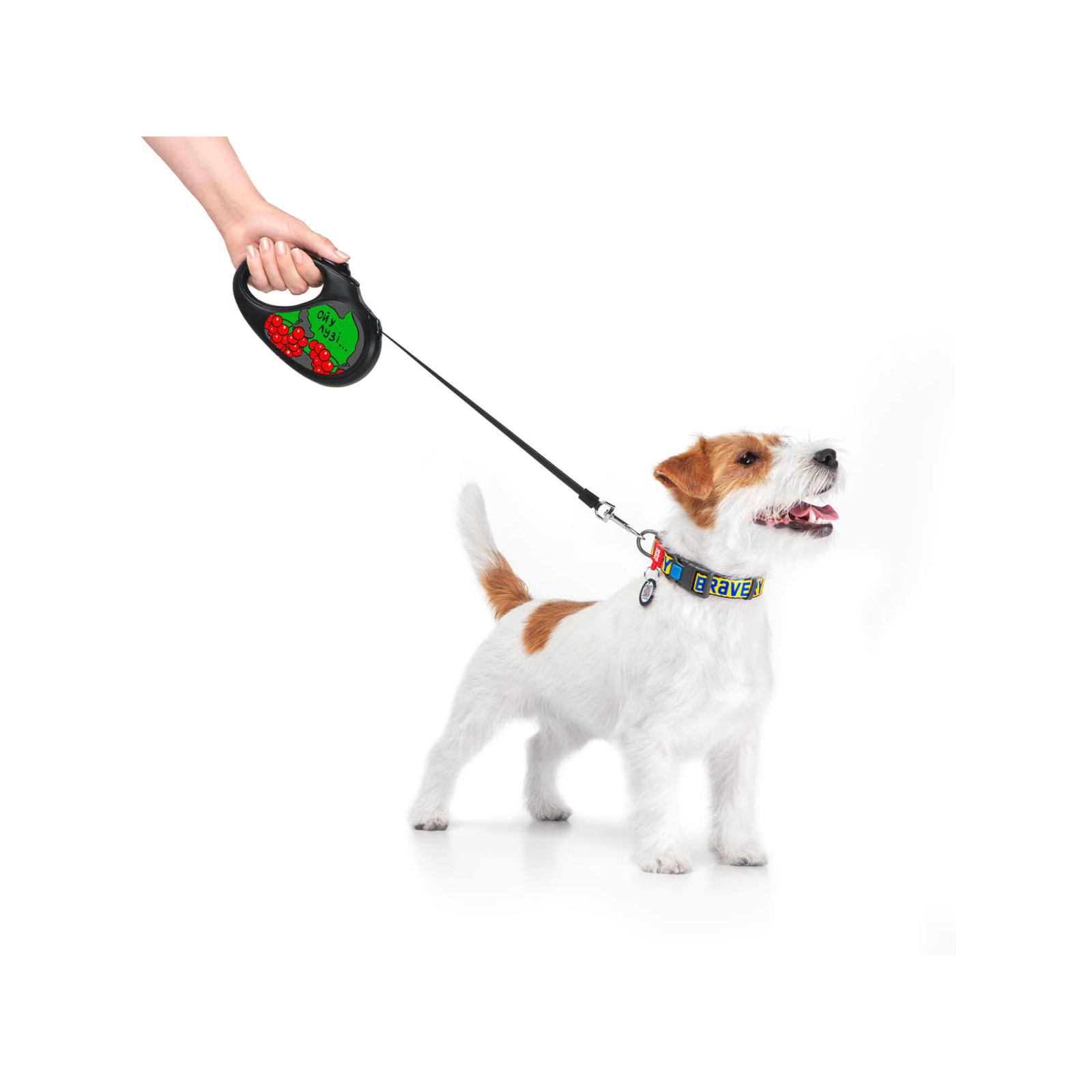 Поводок для собак WAUDOG R-leash Калина светоотражающая лента L 5 м (8126-0228-01) изображение 2