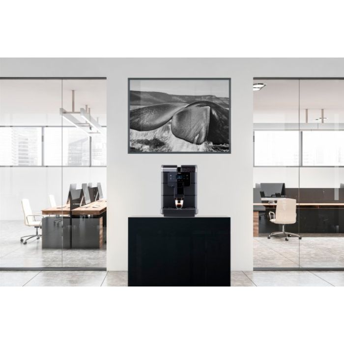 Кофемашина Saeco New Royal Black изображение 9