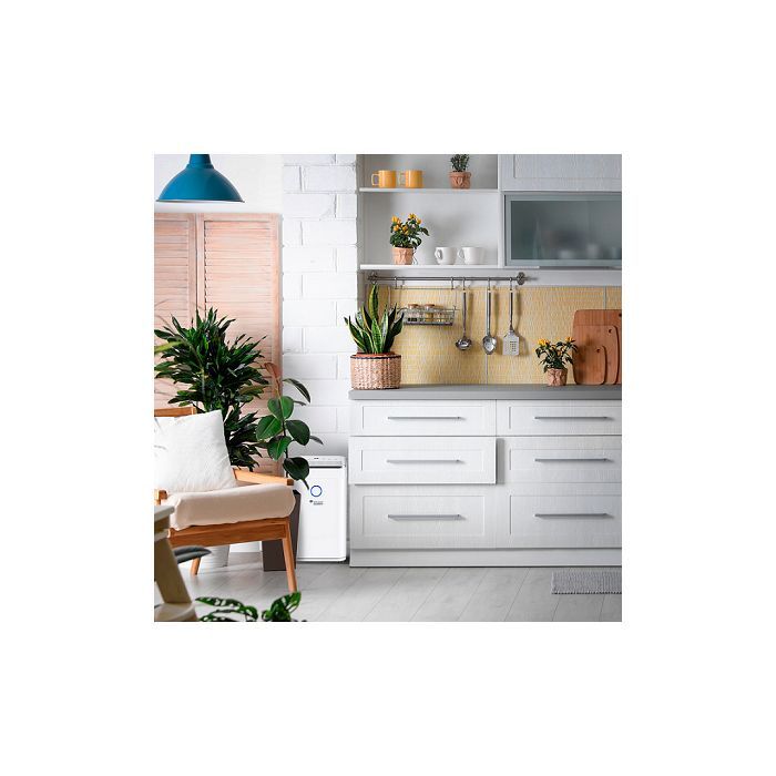 Осушитель воздуха MYCOND Roomer Smart 25 (ROOMER_SMART_25) изображение 2