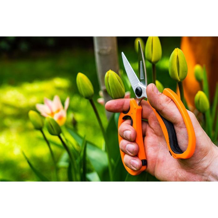 Ножиці садові Neo Tools 18.5мм, 115г (15-215) зображення 7