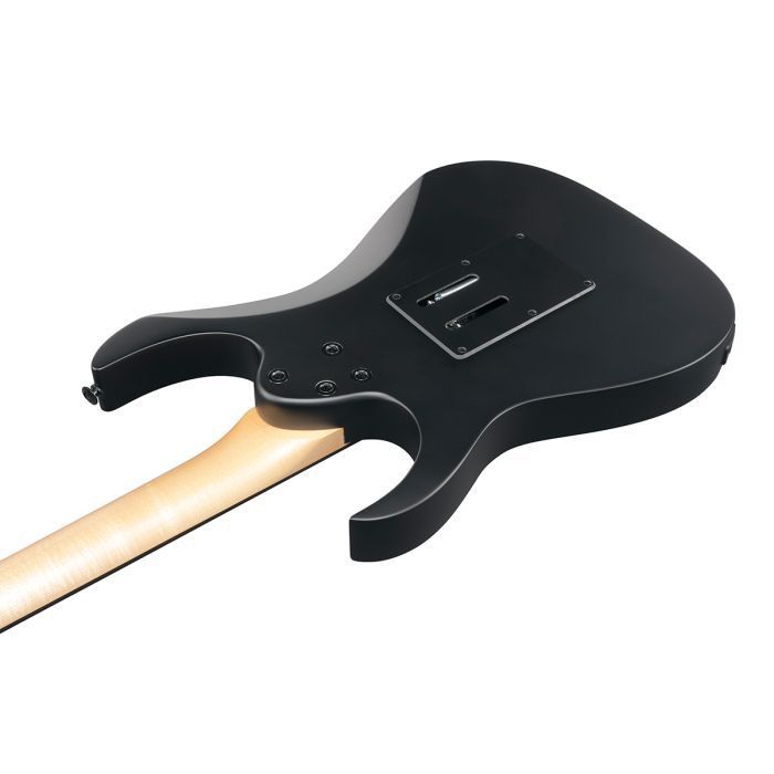 Электрогитара Ibanez GRGR330EX BKF (234954) изображение 5
