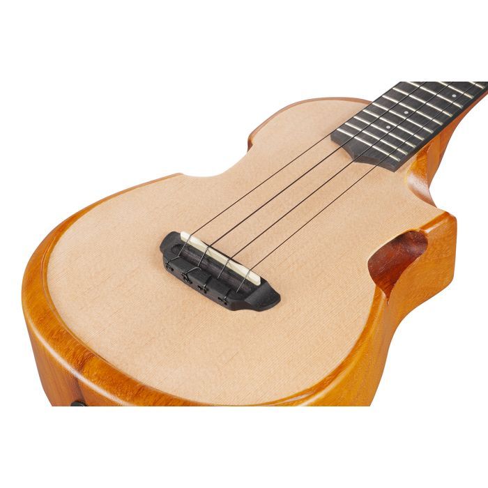 Укулеле Ibanez AUC10E OPN (234983) изображение 11