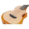 Укулеле Ibanez AUC10E OPN (234983) изображение 11