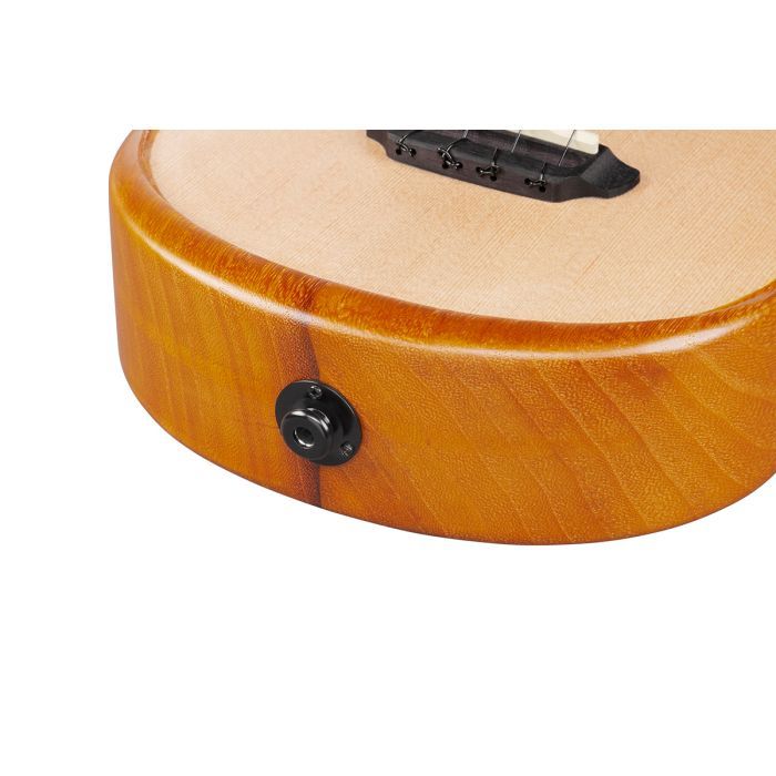 Укулеле Ibanez AUC10E OPN (234983) изображение 12