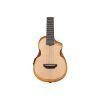 Укулеле Ibanez AUC10E OPN (234983) изображение 4
