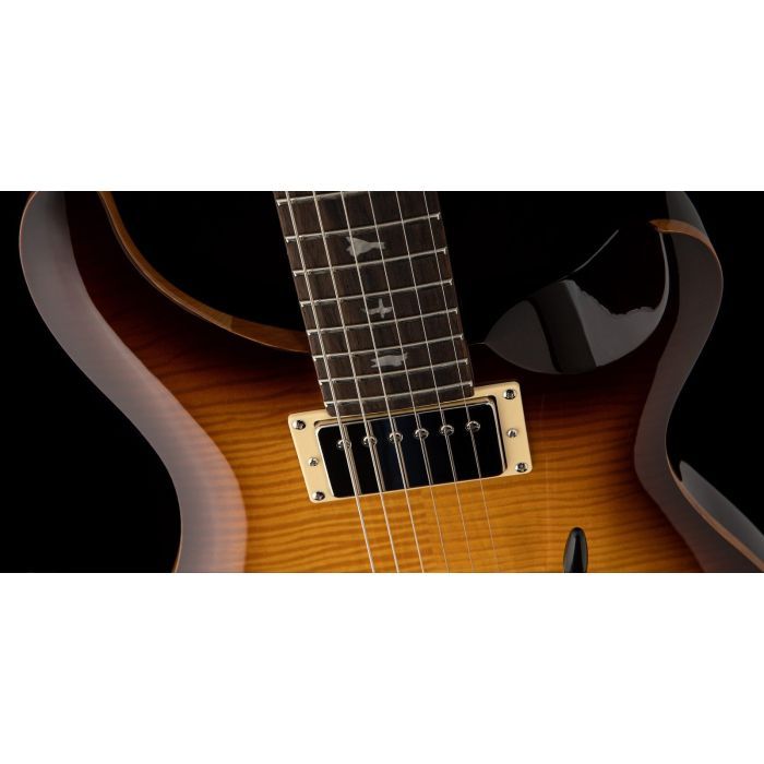 Электрогитара PRS SE DGT Gold Top изображение 5