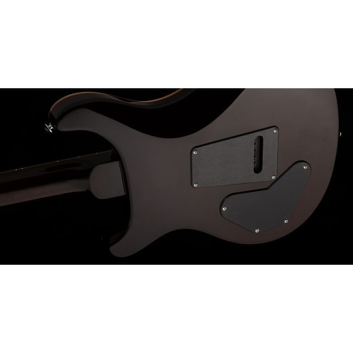 Электрогитара PRS SE DGT Gold Top изображение 7