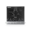 Струны для скрипки D'Addario Kaplan Vivo Violin String Set 4/4 Scale Medium Tension (KV310 4/4M)