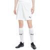 Шорти Puma teamGOAL 23 knit Shorts 704262-04 білий L (4062451180645)