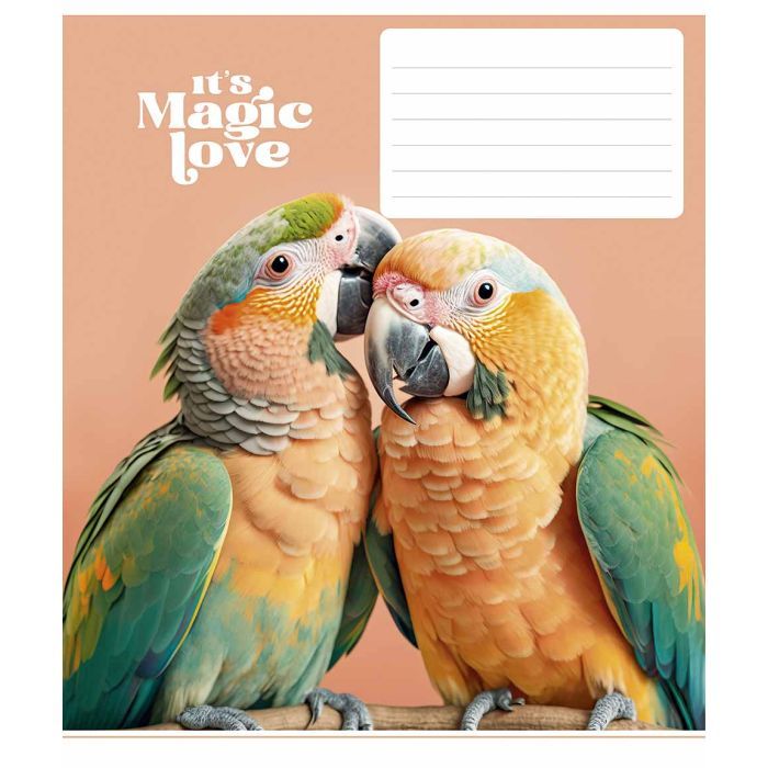 Тетрадь Школярик It's a magic love 12 листов линия (012-3300L)