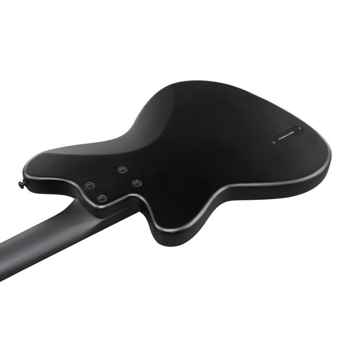 Бас-гитара Ibanez TMB425B BKF (236711) изображение 5