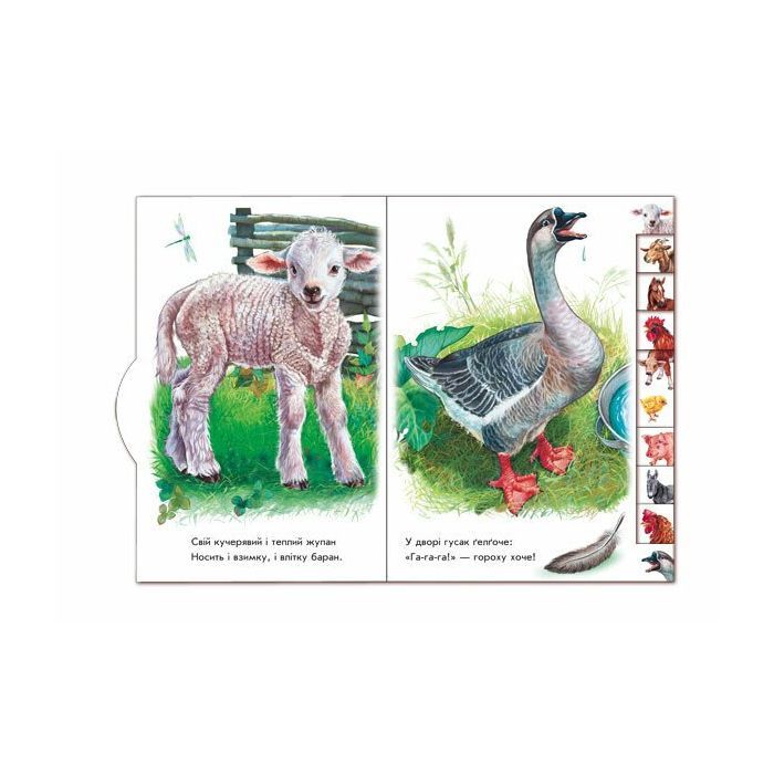 Книга На подвір'ї. З аудіосупроводом - Геннадій Меламед Ранок (9789667502119) изображение 2