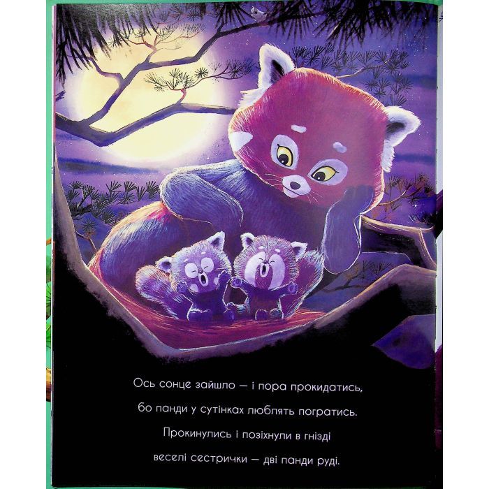 Книга Як панди-малята навчились обіцяти - Рейчел Брайт Ранок (9786170996329) изображение 8