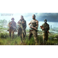 Игра Sony BATTLEFIELD V [PS4, Russian version] (1047915) изображение 3