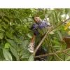 Кущоріз Black&Decker BEHTS301 зображення 8