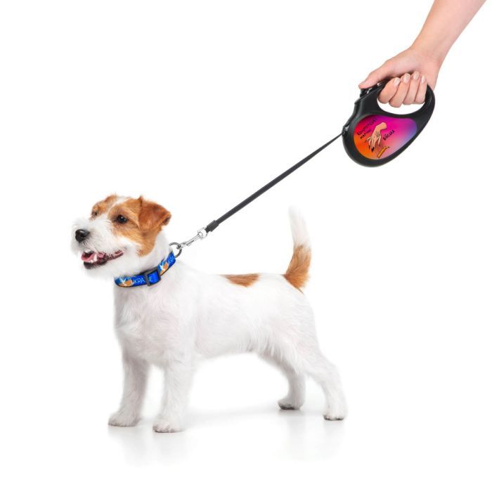 Поводок для собак WAUDOG R-leash Конотопские магические войска светоотражающая лента M 5 м (8125-0232-01) изображение 5