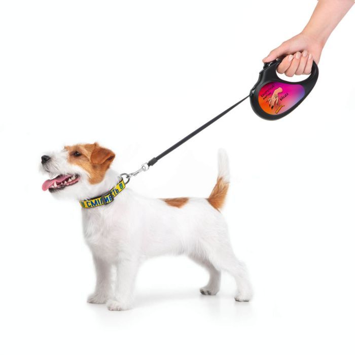 Поводок для собак WAUDOG R-leash Конотопские магические войска светоотражающая лента M 5 м (8125-0232-01) изображение 6