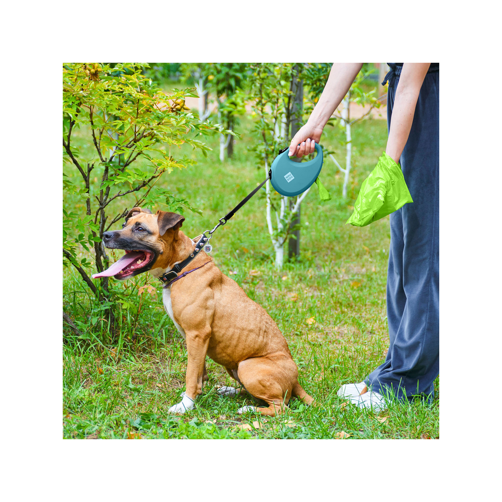 Повідок для собак WAUDOG R-leash з контейнером для пакетів S до 12 кг 3 м блакитний (26272) зображення 9