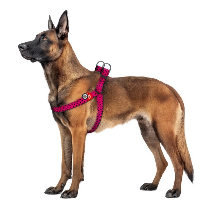 Шлей для собак WAUDOG Nylon с QR паспортом "Арбуз" пластиковый фастекс XL (324-0049) изображение 3