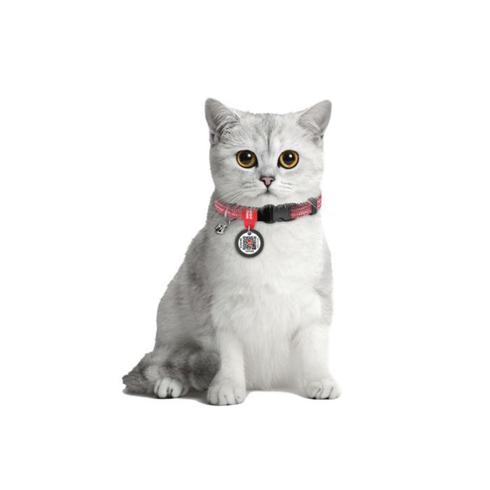 Ошейник для животных WAUDOG Re-cotton с QR паспортом, пластиковый фастекс XS оранжевый (16424) изображение 3