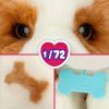 Интерактивная игрушка Moose ittle Live Pets Ласковый щенок (26548) изображение 6