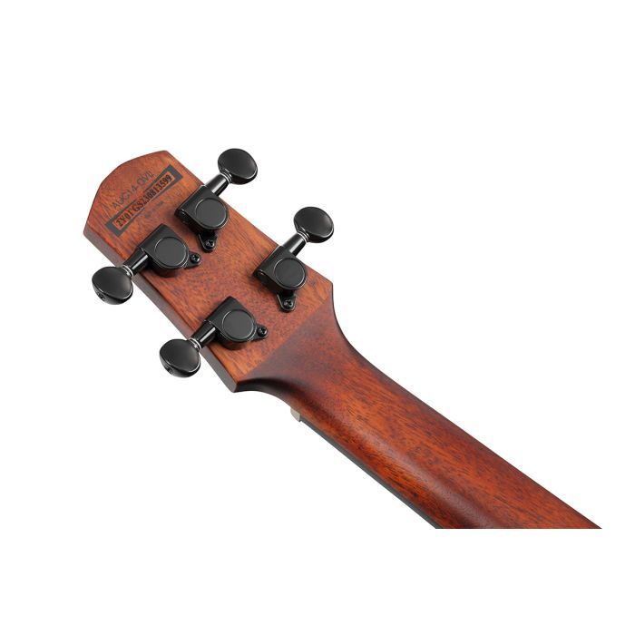 Укулеле Ibanez AUC14 OVL (234982) изображение 10