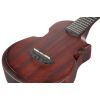 Укулеле Ibanez AUC14 OVL (234982) изображение 11